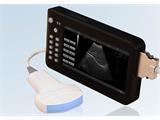 KR-1088E PLAM Type ultrasound diagnostic system